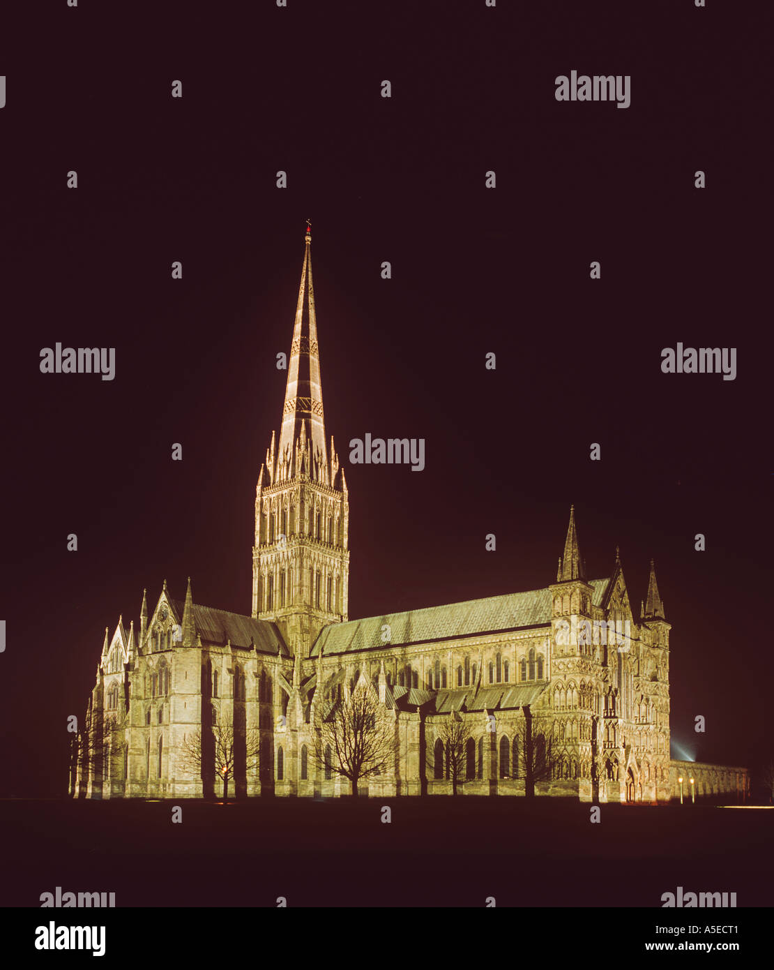 Salisbury Kathedrale stammt aus dem 1220 den Turm ist das höchste in ENGLAND Wiltshire 404 Füße Stockfoto