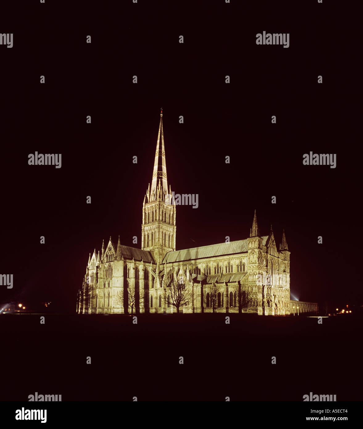 Salisbury Kathedrale stammt aus dem 1220 den Turm ist der höchste 404 Fuß in England Stockfoto