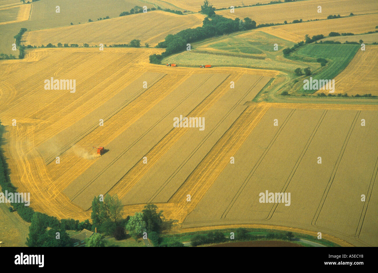 Mähdrescher, die Arbeiten eines Feldes in East Anglia, England Stockfoto