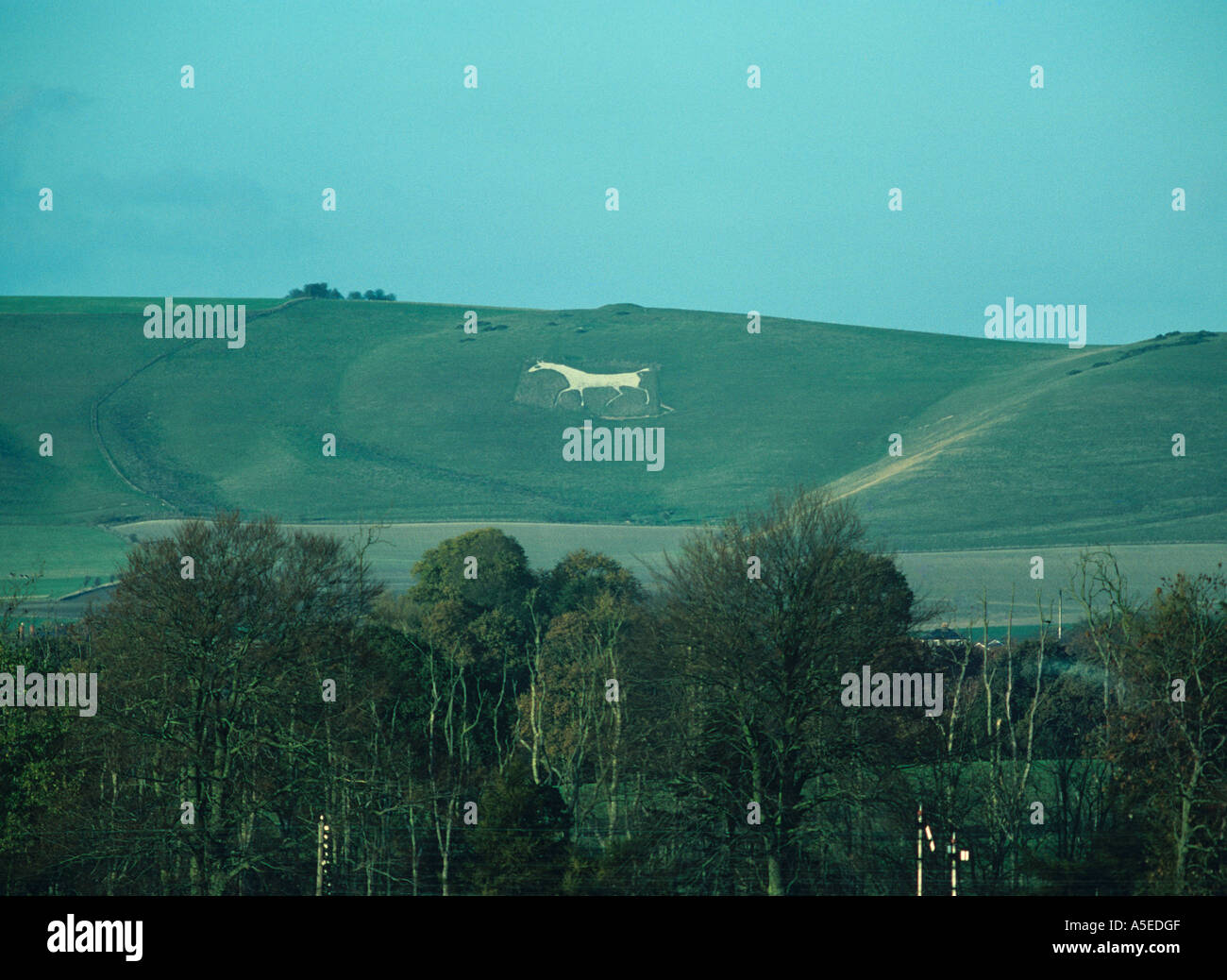 White Horse schneiden in der Kreide-Downs Walker Hill auch bekannt als Milk Hill in der Nähe von Alton Barnes WILTSHIRE Stockfoto