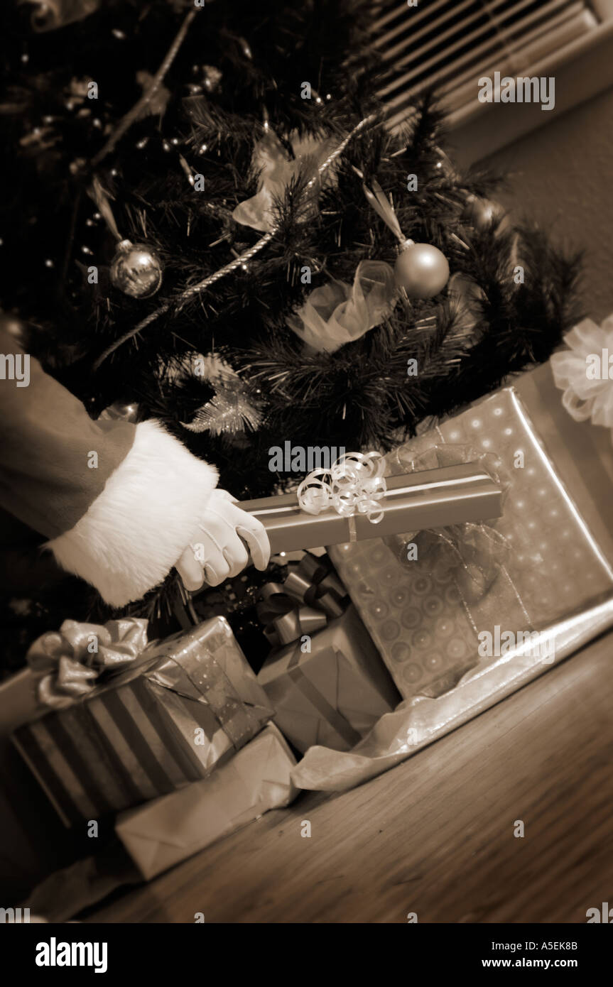 Santa, die Geschenke unter dem Weihnachtsbaum setzen Stockfoto
