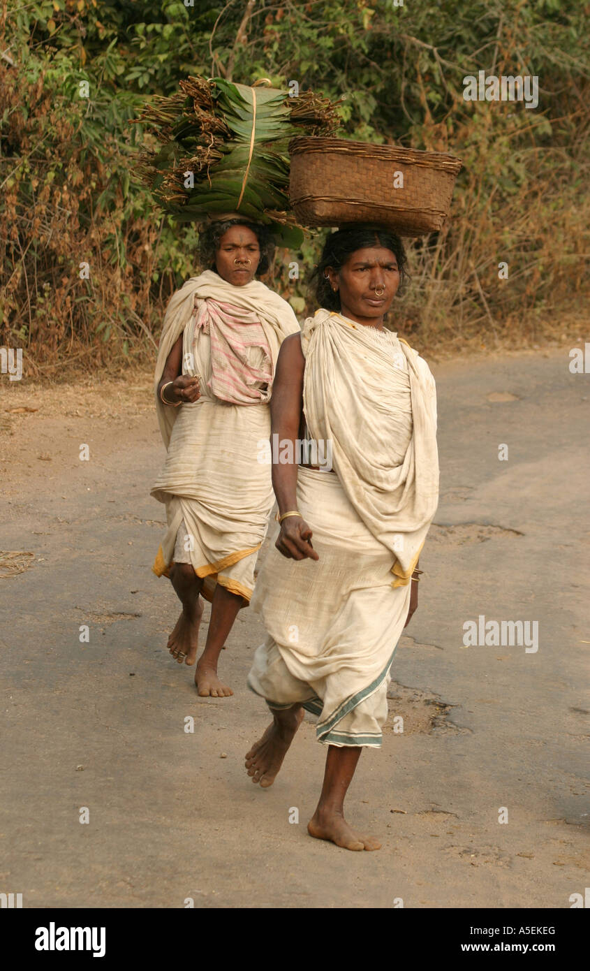 Dongria Kondh Frauen Powerwalk barfuß 25kms zum und vom Wochenmarkt Stammes-Orissa, Indien Stockfoto