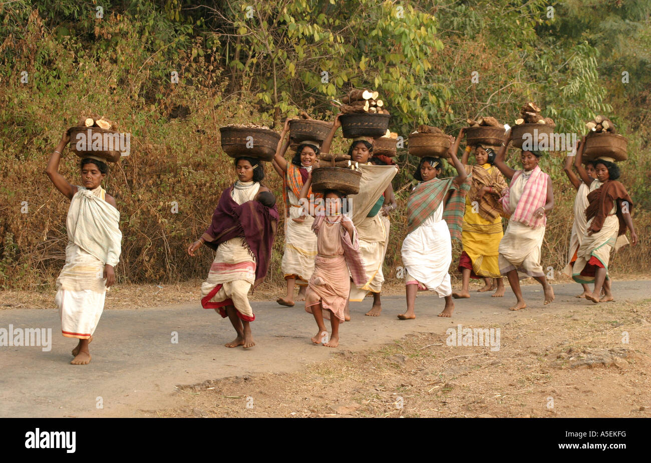 Dongria Kondh Frauen mit schweren Lasten auf Kopf, Powerwalk barfuß 25kms zum und vom Wochenmarkt Stammes-Orissa, Indien Stockfoto