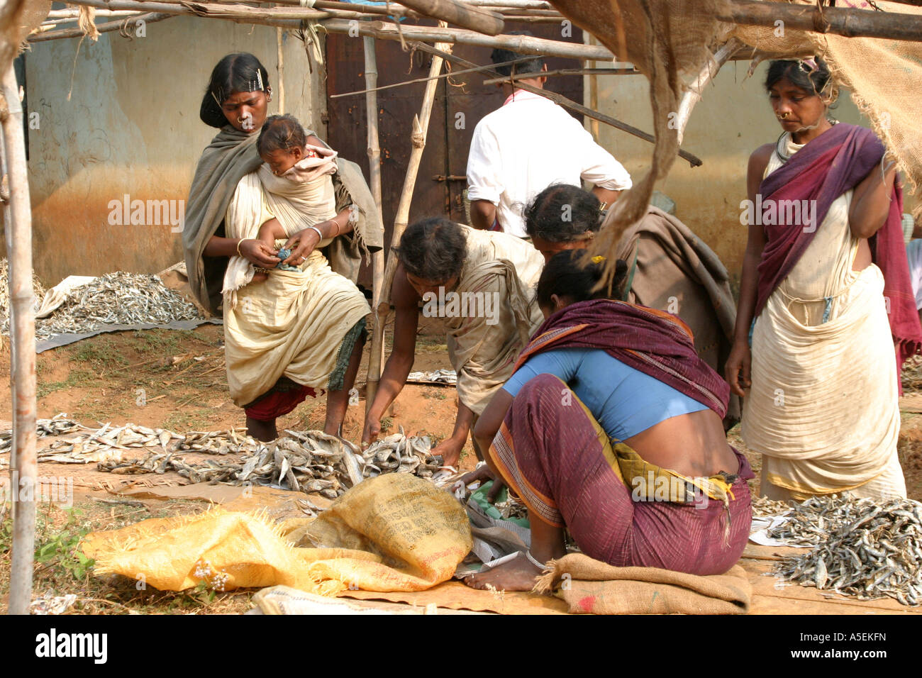 Dongria Kondh Frauen auf ihre Stammes-Wochenmarkt Orissa, Indien Stockfoto