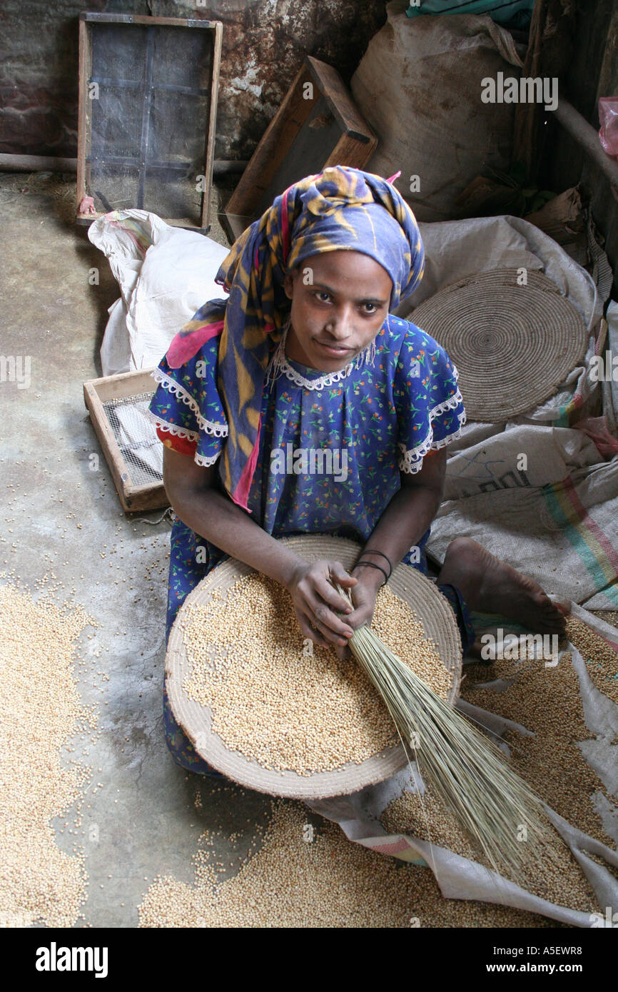 Harar, Äthiopien, junge Frau Dreschen von Getreide in einem Markt Stockfoto