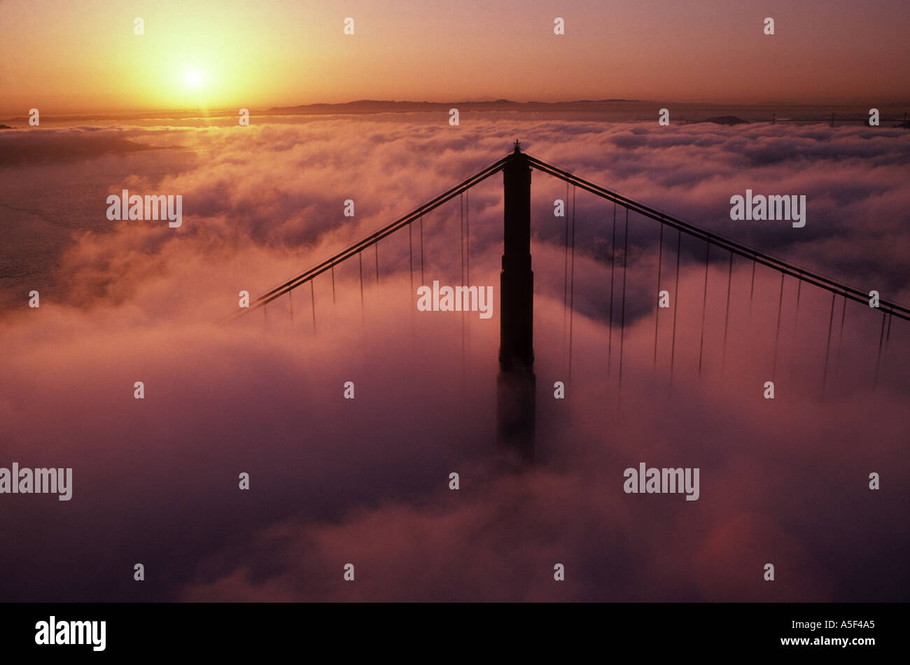 California San Francisco Luftaufnahme der Golden Gate Bridge in Wolken gehüllt Stockfoto