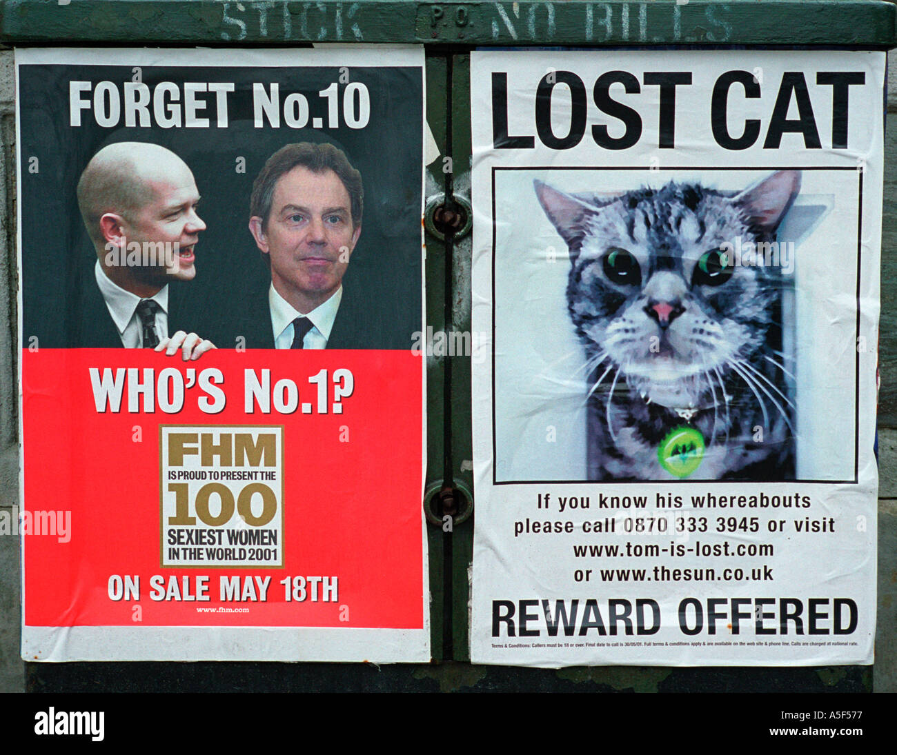 Fliegen Sie Plakate, die Darstellung von William Hague ex-Führer der konservativen Partei und Tony Blair britische PM und eine verlorene Katze Stockfoto