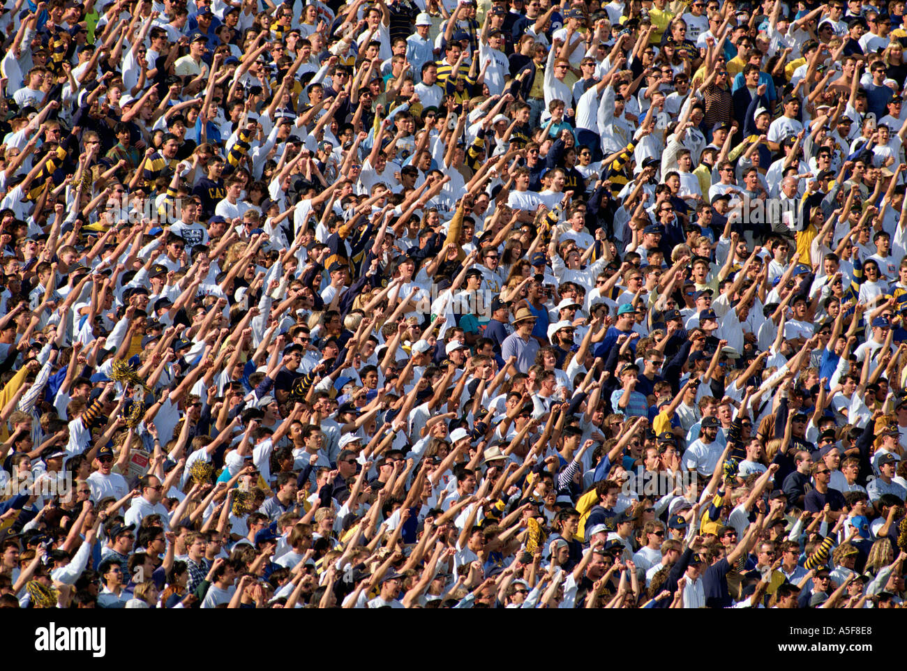 Jubelnden Massen im Stadion-Sport-event Stockfoto