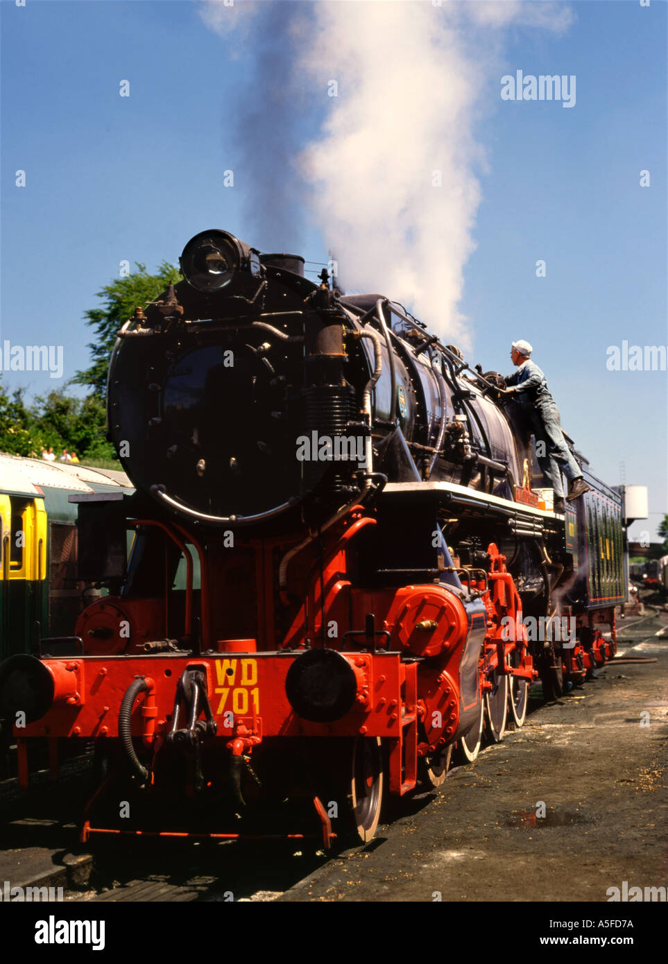 England-Brunnenkresse-Linie Stockfoto