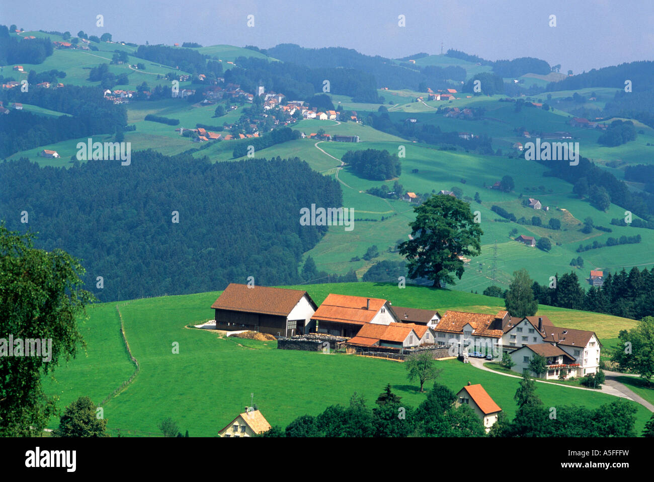 Dorf schweiz speicher schweiz -Fotos und -Bildmaterial in hoher Auflösung –  Alamy