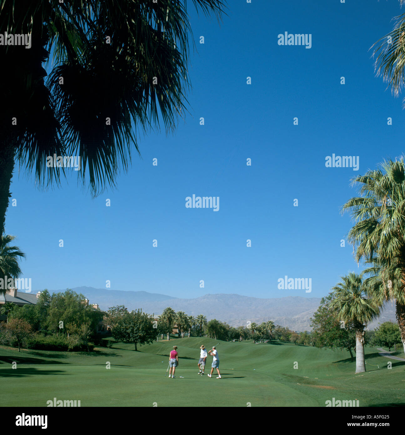 Golfplatz in Palm Springs, Kalifornien, USA Stockfoto