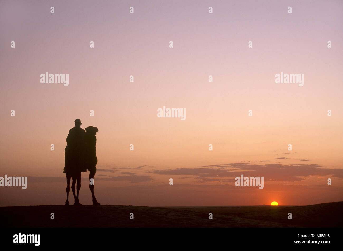 Kamel und Beduinen-Reiter bei Sonnenuntergang, Douz, Sahara Wüste, Tunesien, Nordafrika Stockfoto