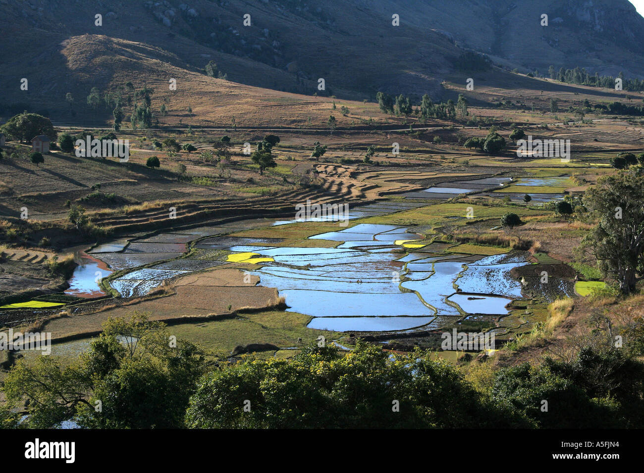 Berge, Reisfelder, Anjaha Reserve-Madagaskar-Afrika Stockfoto