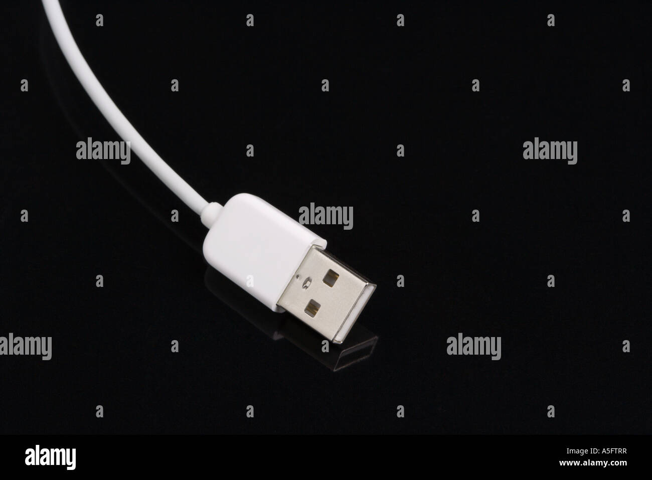 FireWire-Kabel Stockfoto