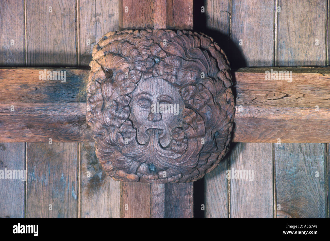 Greenman oder Green man Dachboss Holzschnitzerei St Andrews Church, South Tawton Devon. HOMER SYKES Stockfoto