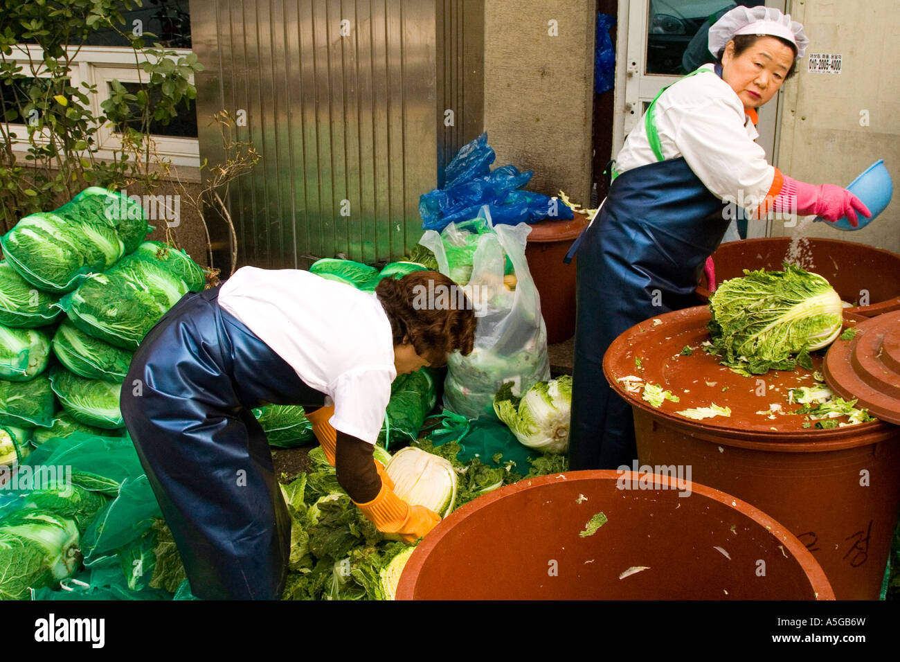 Koreanische Frauen machen Kimchi Seoul Südkorea Stockfoto