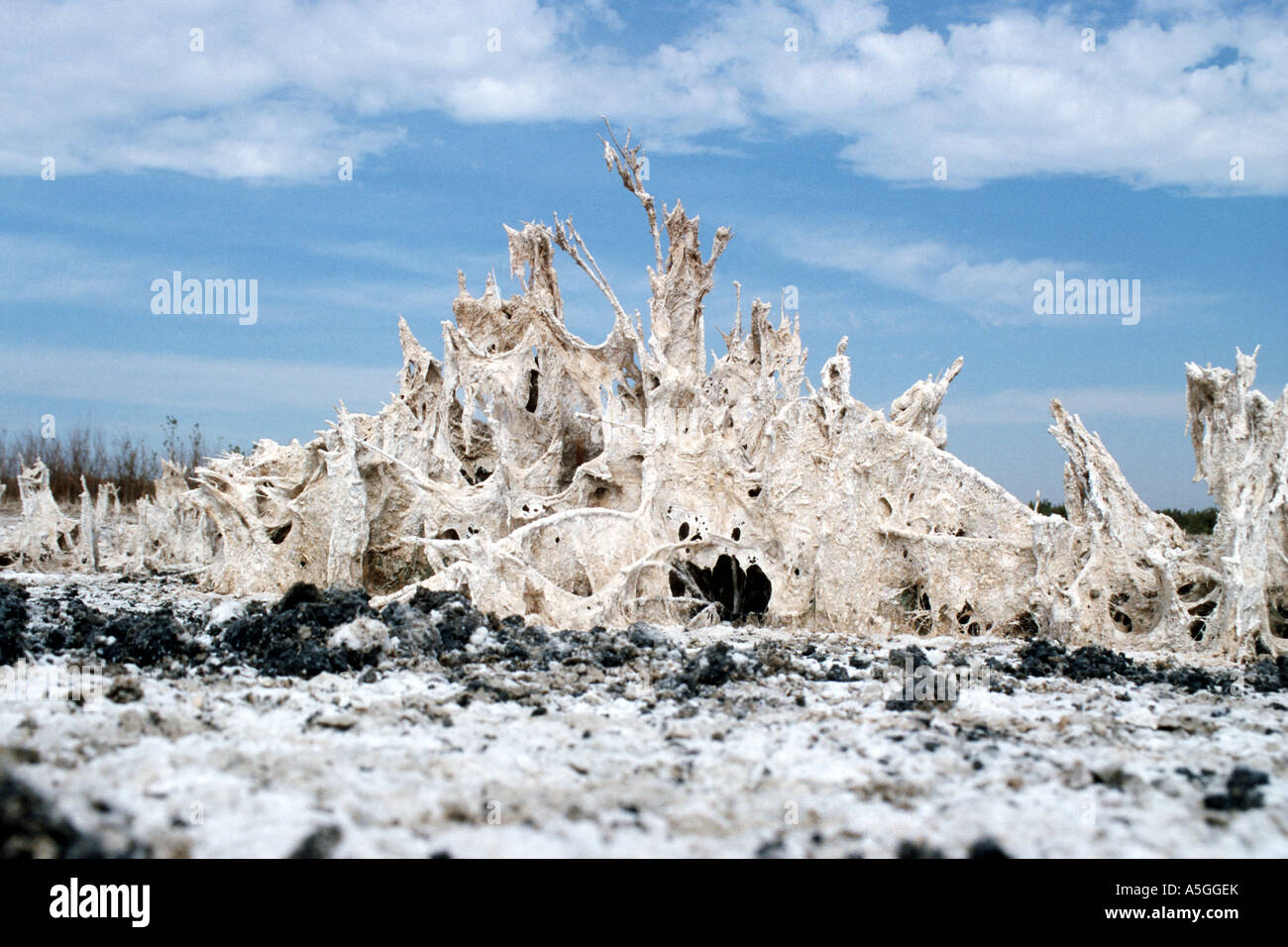 Eine Wüste Märchenschloss des Salzes, Usbekistan, Turan, Kysylkum gemacht Stockfoto
