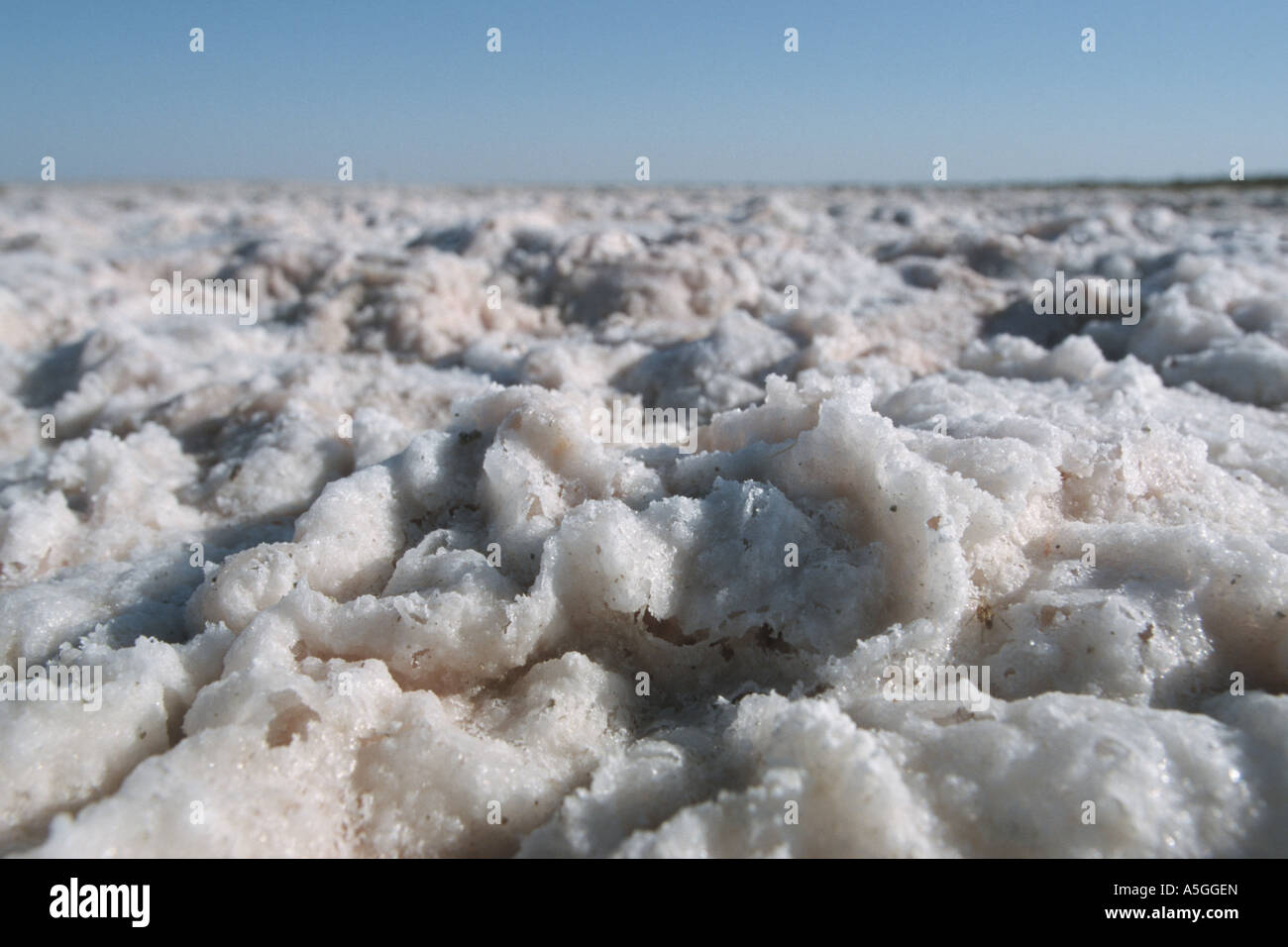Eine Wüste aus Salz, Usbekistan, Turan, Kysylkum Stockfoto