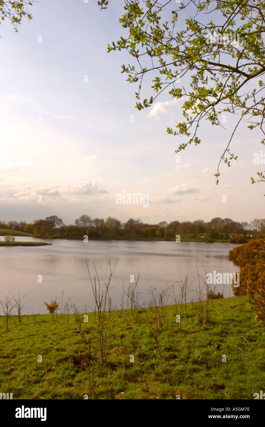 Rossmere in der Nähe von Lindow Moos Cheshire Stockfoto