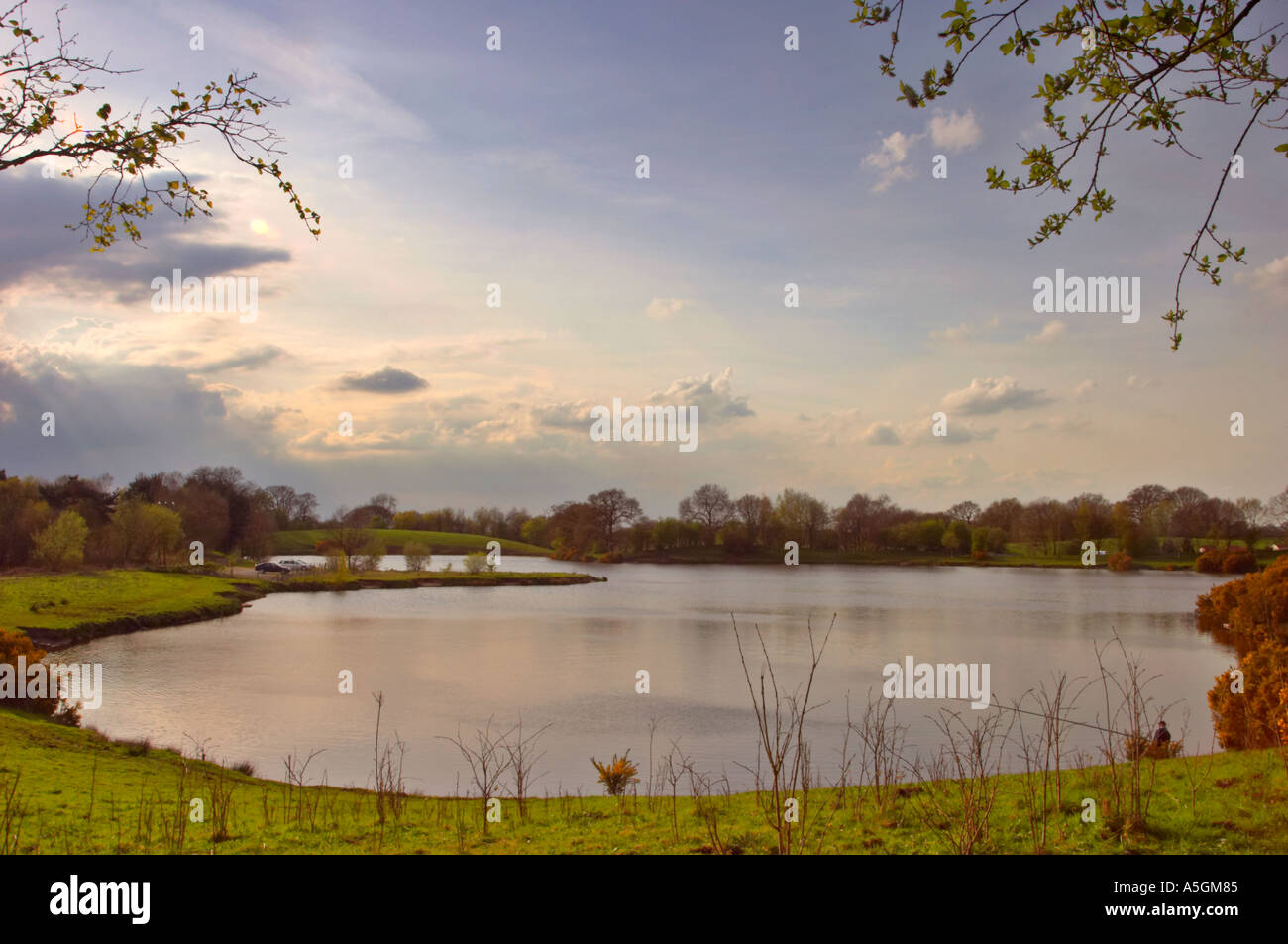Rossmere in der Nähe von Lindow Moos Cheshire Stockfoto