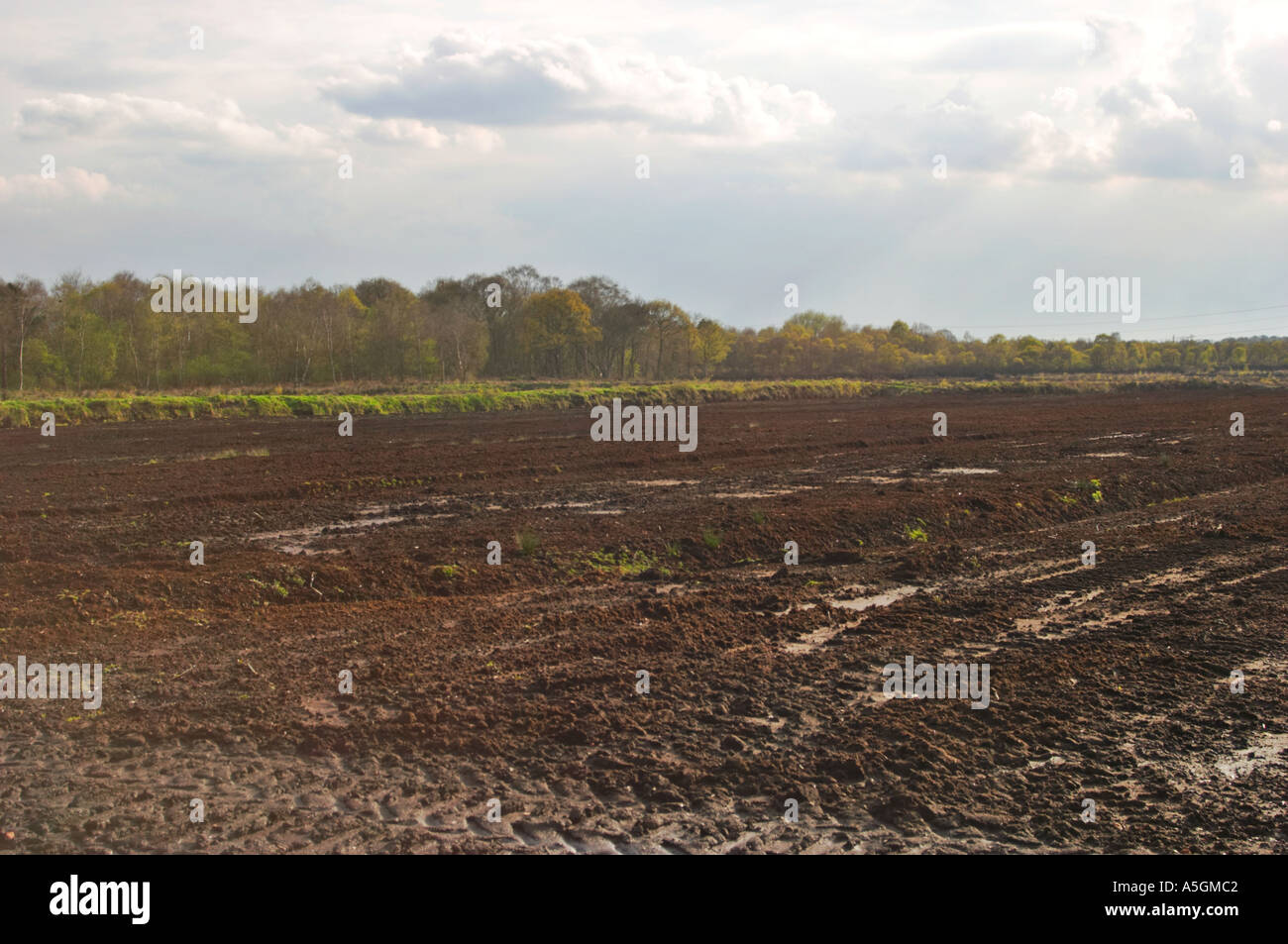 Ansichten von Lindow Moos wo Pete Marsh Lindow Mann entdeckt wurde Stockfoto