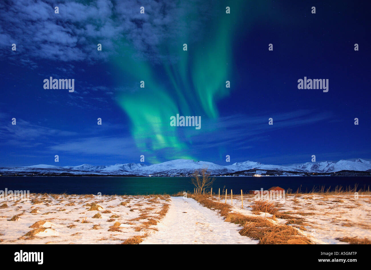 Weg der Polarlichter, Norwegen, Tromsoe Stockfoto
