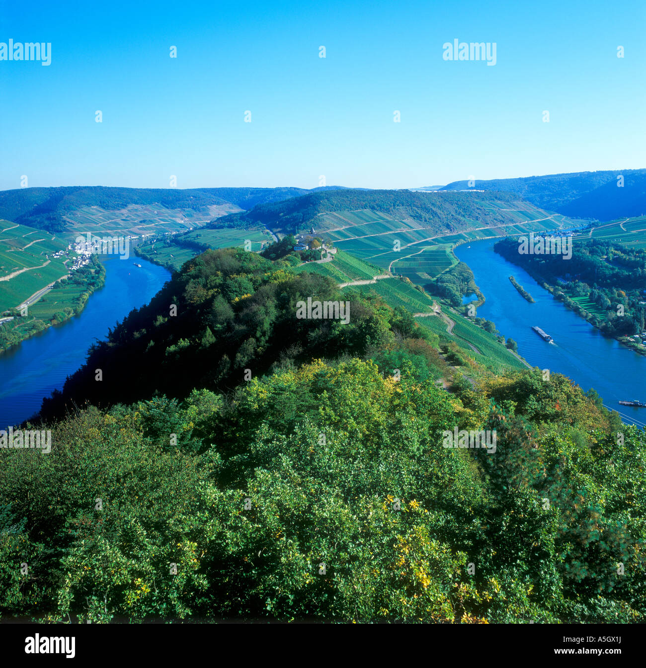 Fluss Mosel Schleife Zeller Hamm in Deutschland Stockfoto