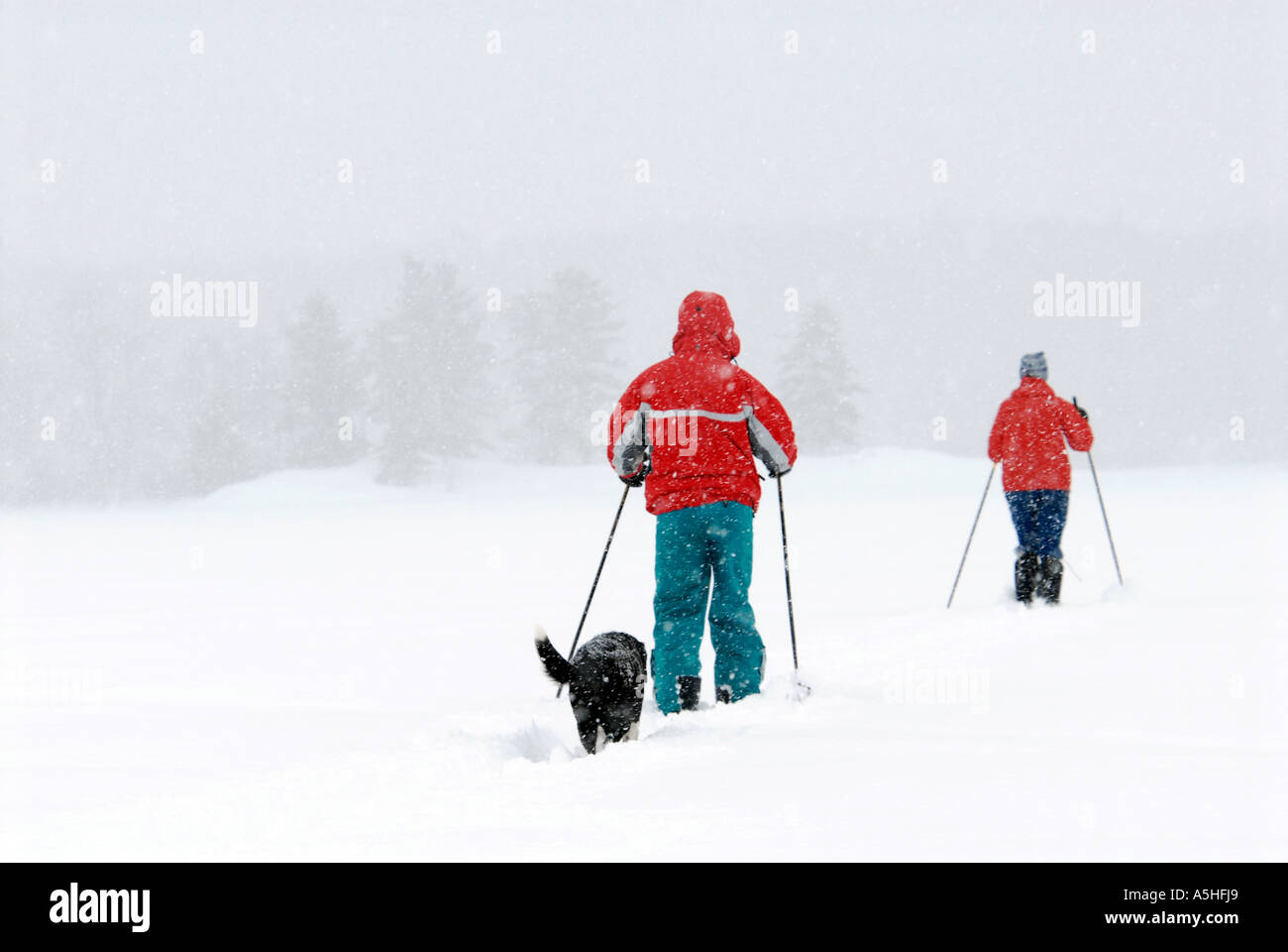 Winter-outdoor-Aktivität Skifahren Stockfoto