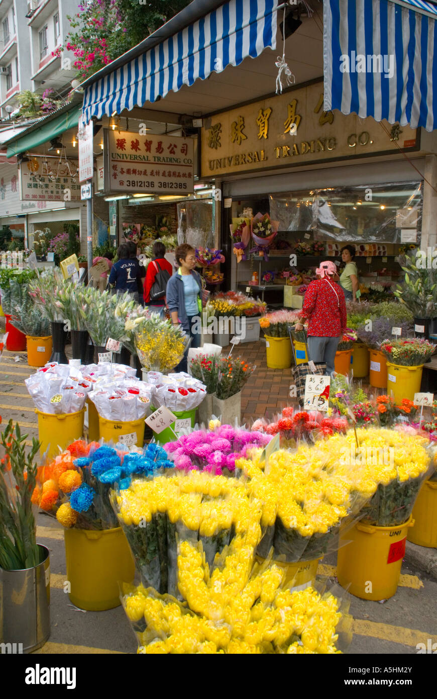 Asien China Hong Kong Kowloon Mongkok Blumenmarkt Stockfoto