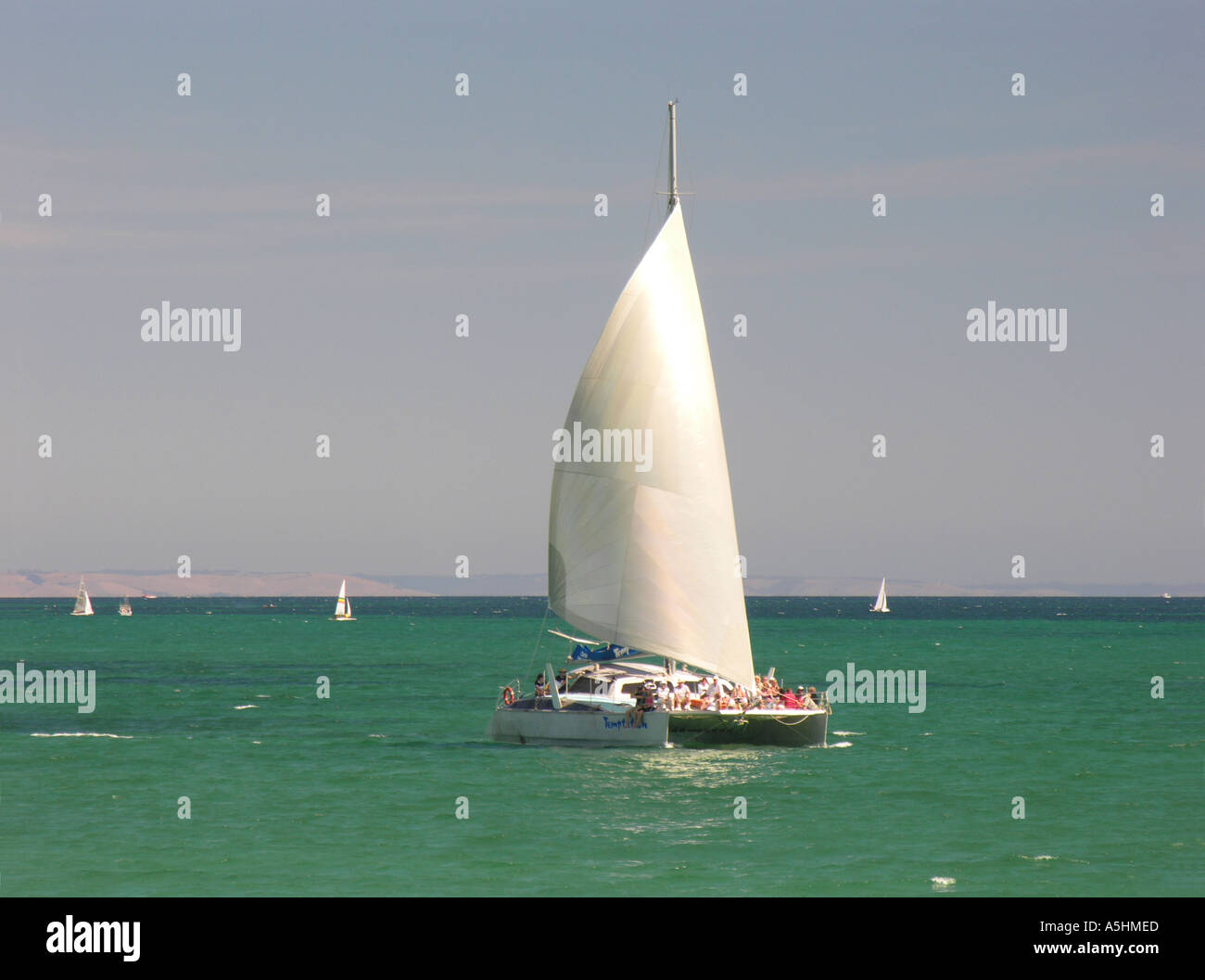 Katamaran und andere Segelboote Stockfoto