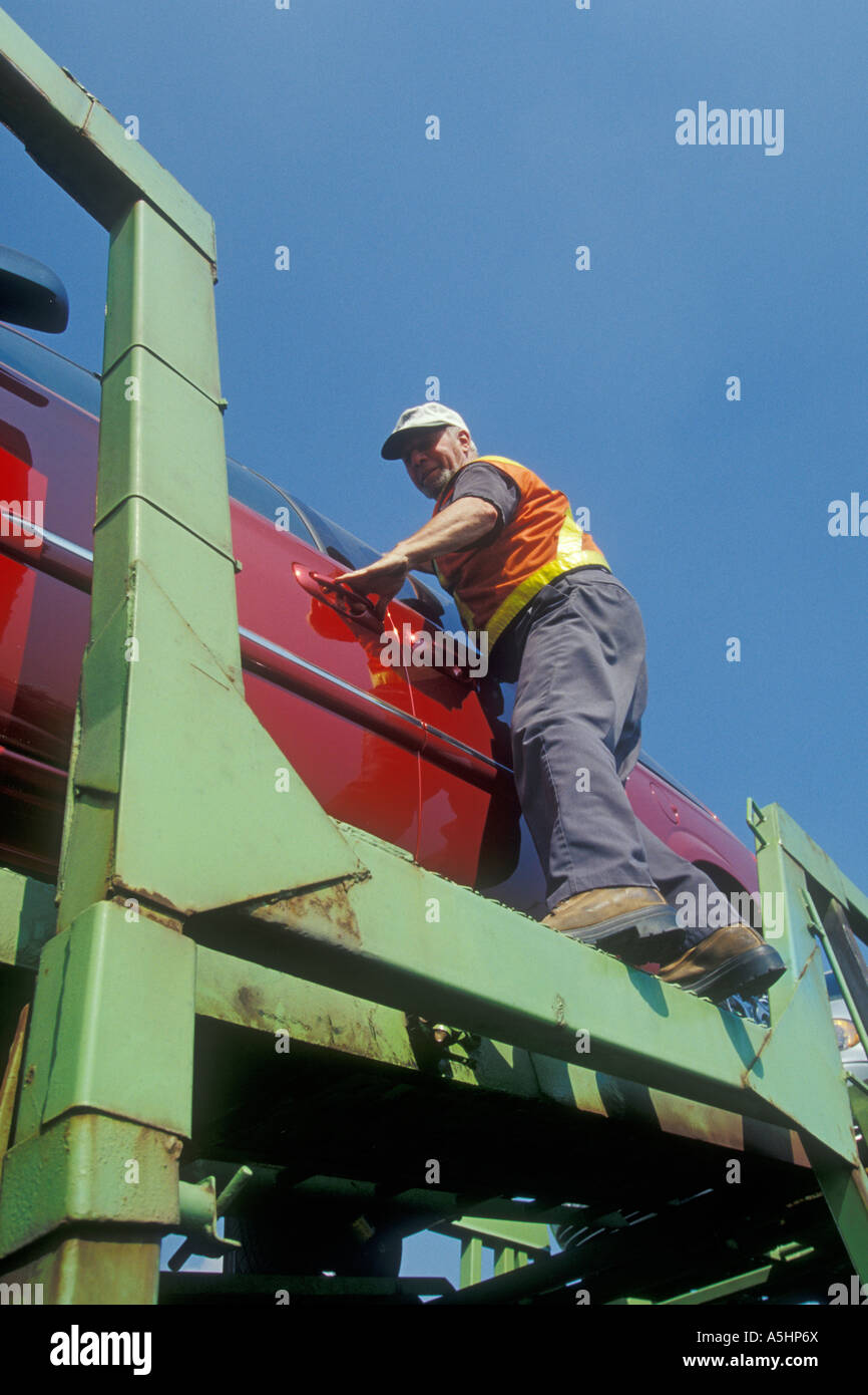 Carhauler Stockfoto