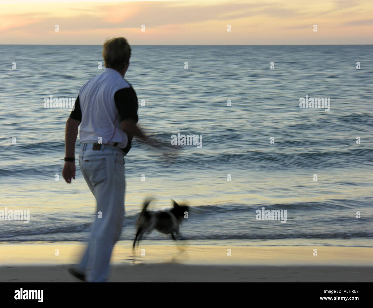 Applying Mann Stick für den Hund zu werfen, um am Strand zu holen. Langzeitbelichtung Bewegungsunschärfe Stockfoto