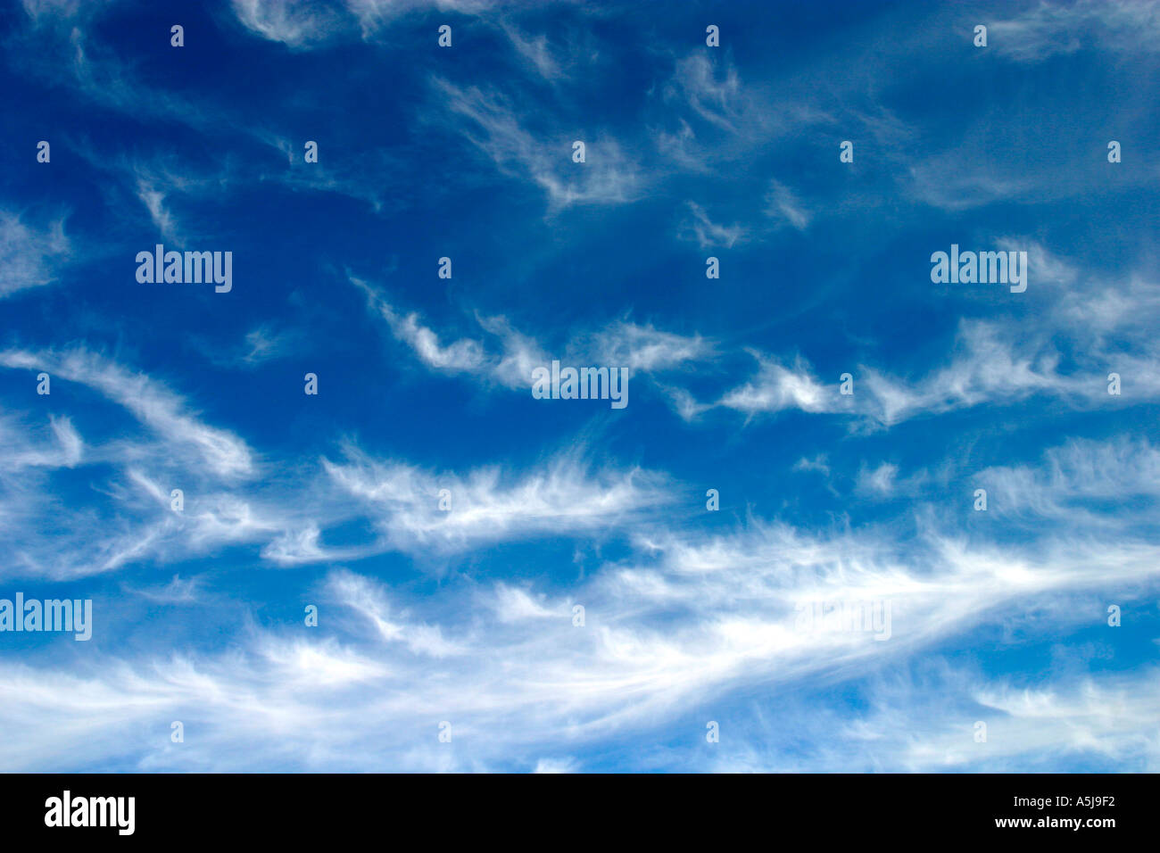 Hellen blauen Sommerhimmel mit großer Höhe Wolkenfetzen Stockfoto