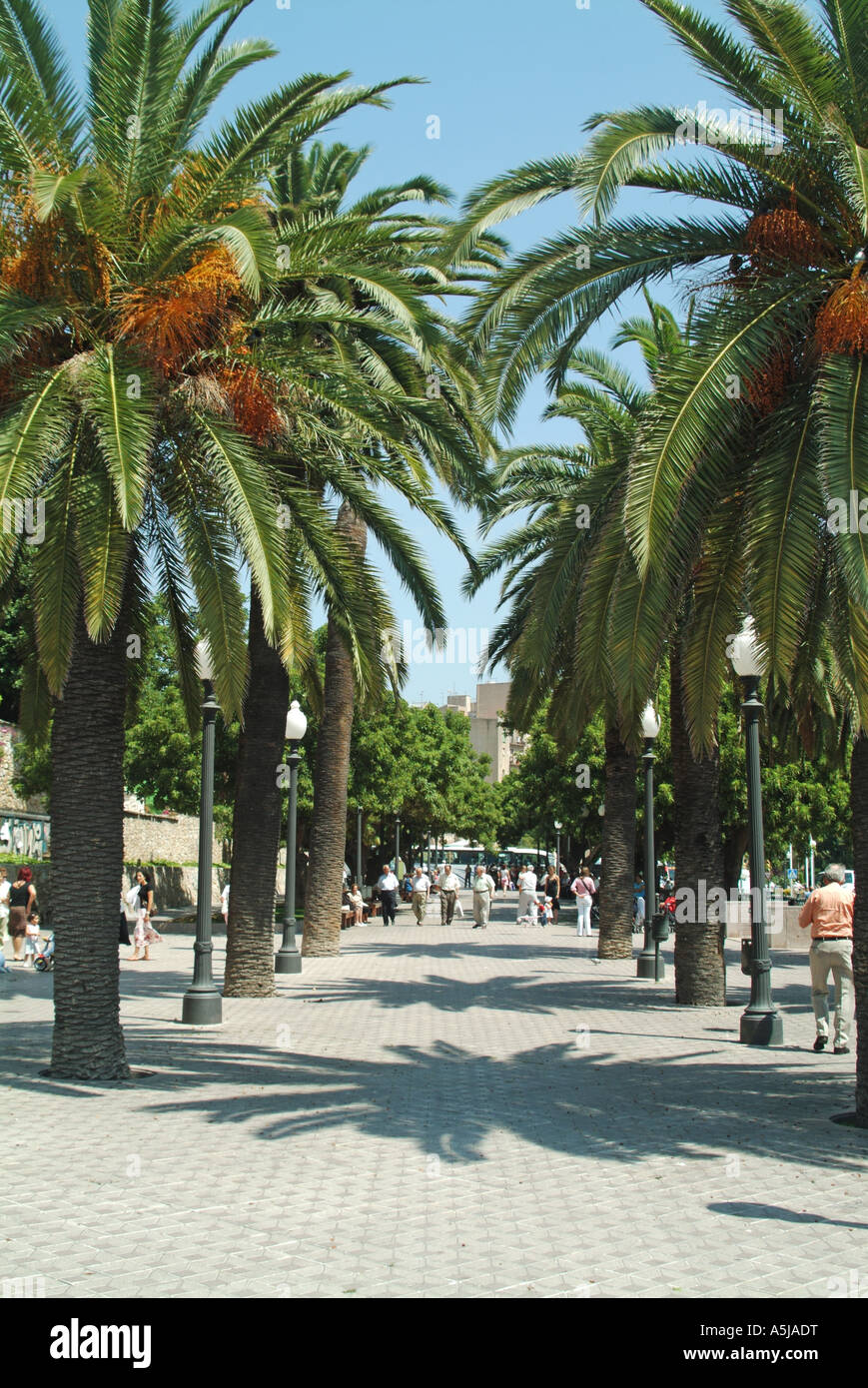 Tarragona beliebten Palm von Bäumen gesäumten promenade Stockfoto