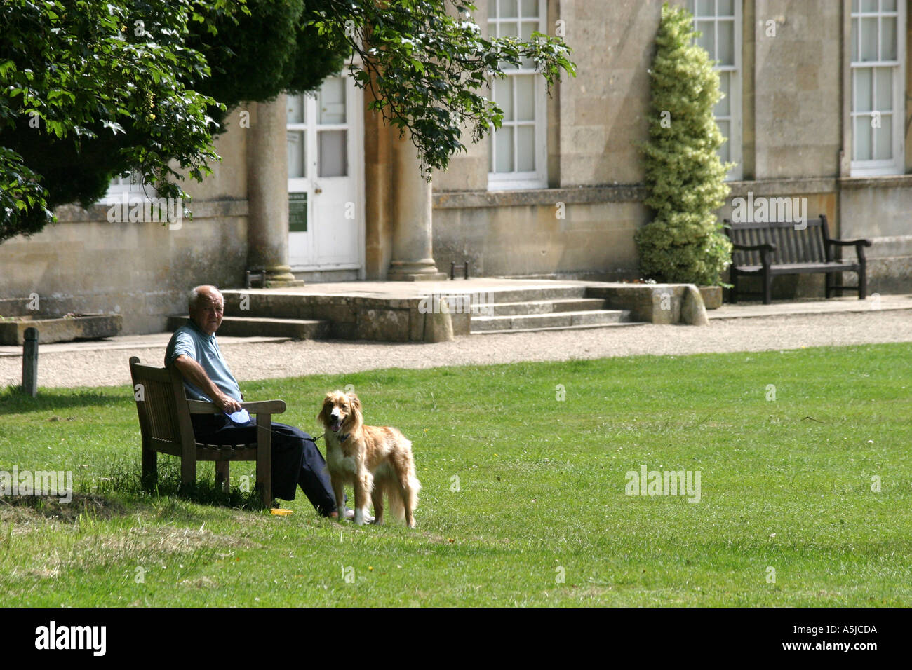 Mensch und Hund sitzt auf einer Bank am Lydiard Park in der Nähe von Swindon Wiltshire Stockfoto