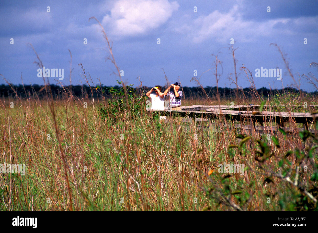 Florida Everglades Nationalpark Senioren paar Anzeigen Tierwelt Anhinga Trail Promenade Stockfoto