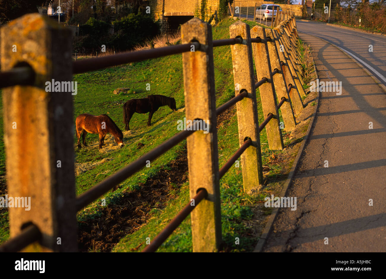 Ein modernes Auto fahren in die Stadt Sherborne neben eine ältere Form des Transports Dorset county England UK Stockfoto