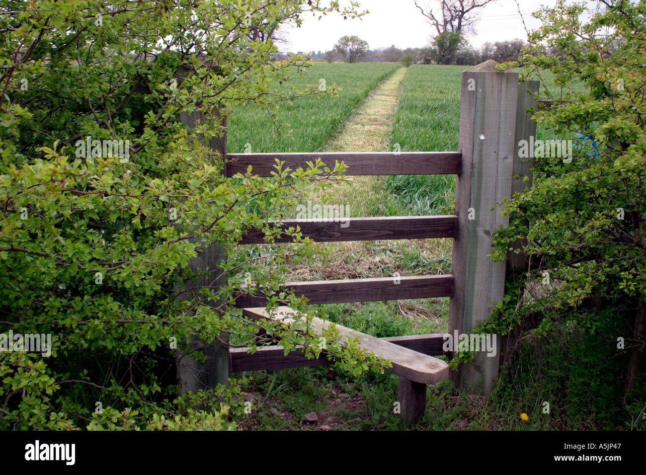 Route der einen öffentlichen Fußweg über Ernte Feld von Bauer restauriert Stockfoto