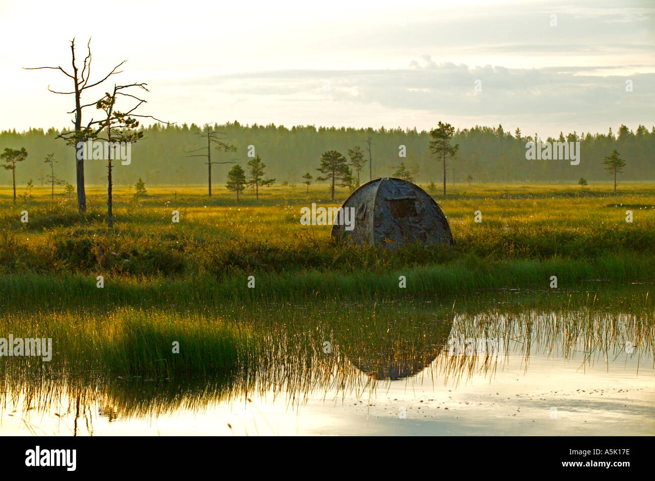 Fotografische ausblenden Blind mit Blick auf Pool auf die roten throated Taucher Zucht auf Moor pool Finnland Sommer Stockfoto