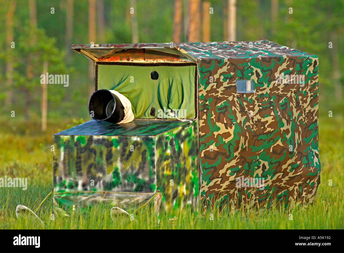 Fotografische ausblenden Blind mit Blick auf Pool auf die roten throated Taucher Zucht auf Moor pool Finnland Sommer Stockfoto