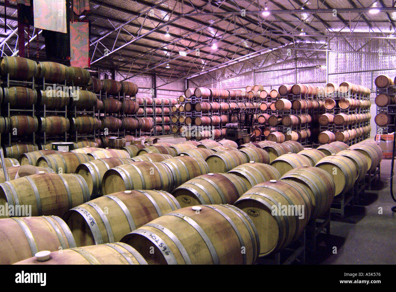 Australien WA Mount Barker Goundrey Weingut Lauf Halle Stockfoto