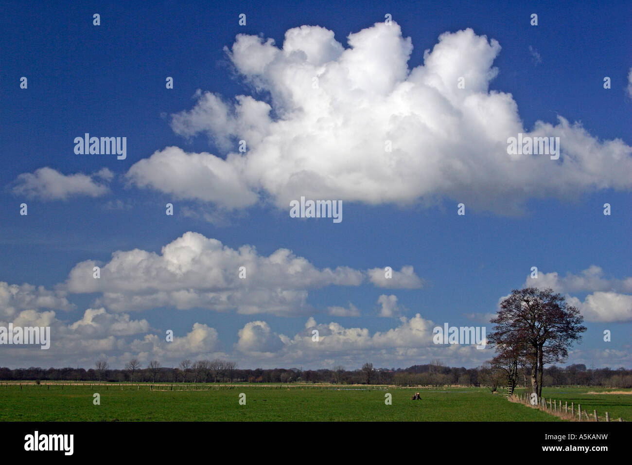 Weiße Wolken am blauen Himmel über einer weiten Wiese Landschaft - Wakendorf, Schleswig-Holstein Stockfoto