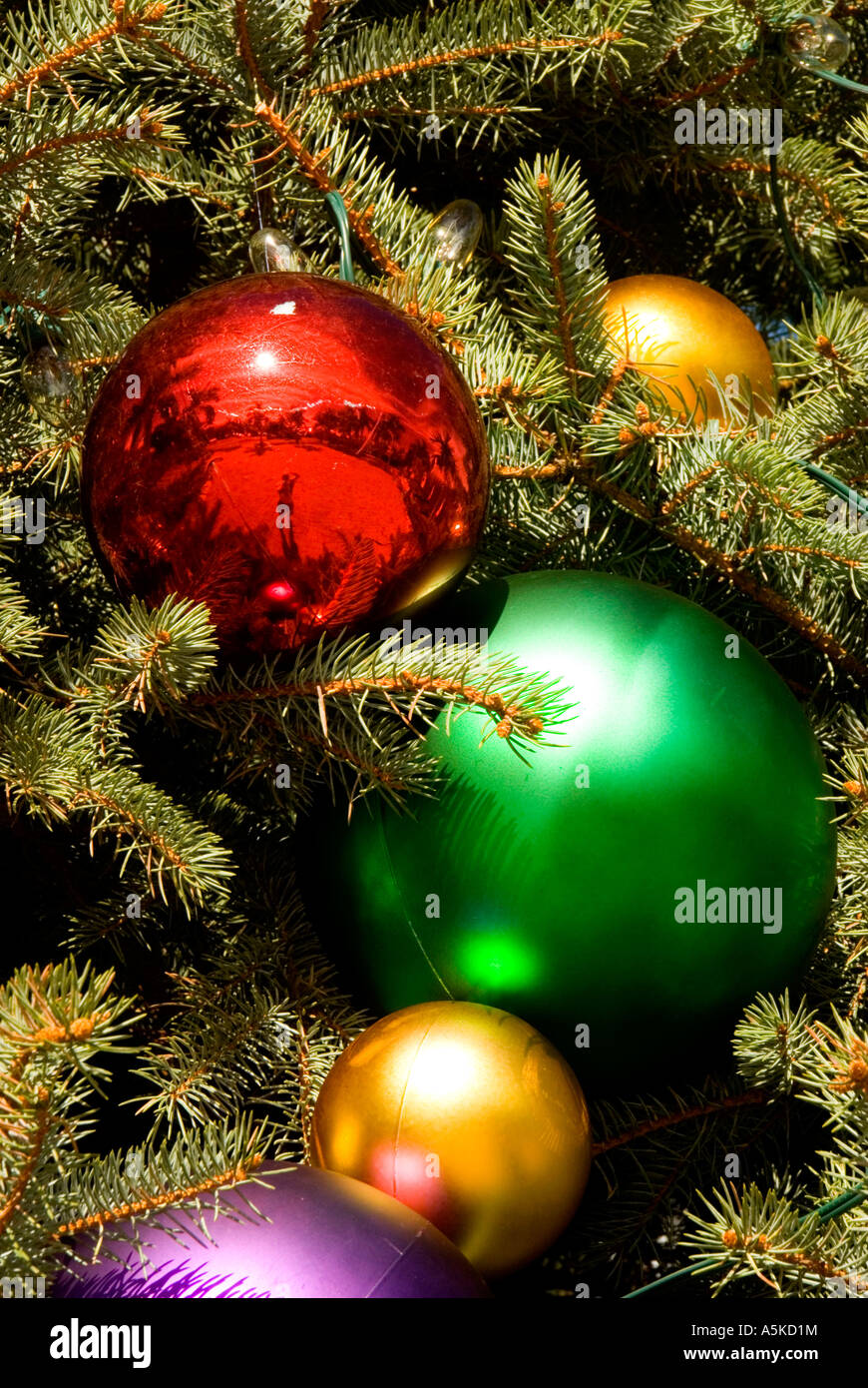 Weihnachtsbaum Dekoration große helle Kugeln hängen am Baum Stockfotografie  - Alamy