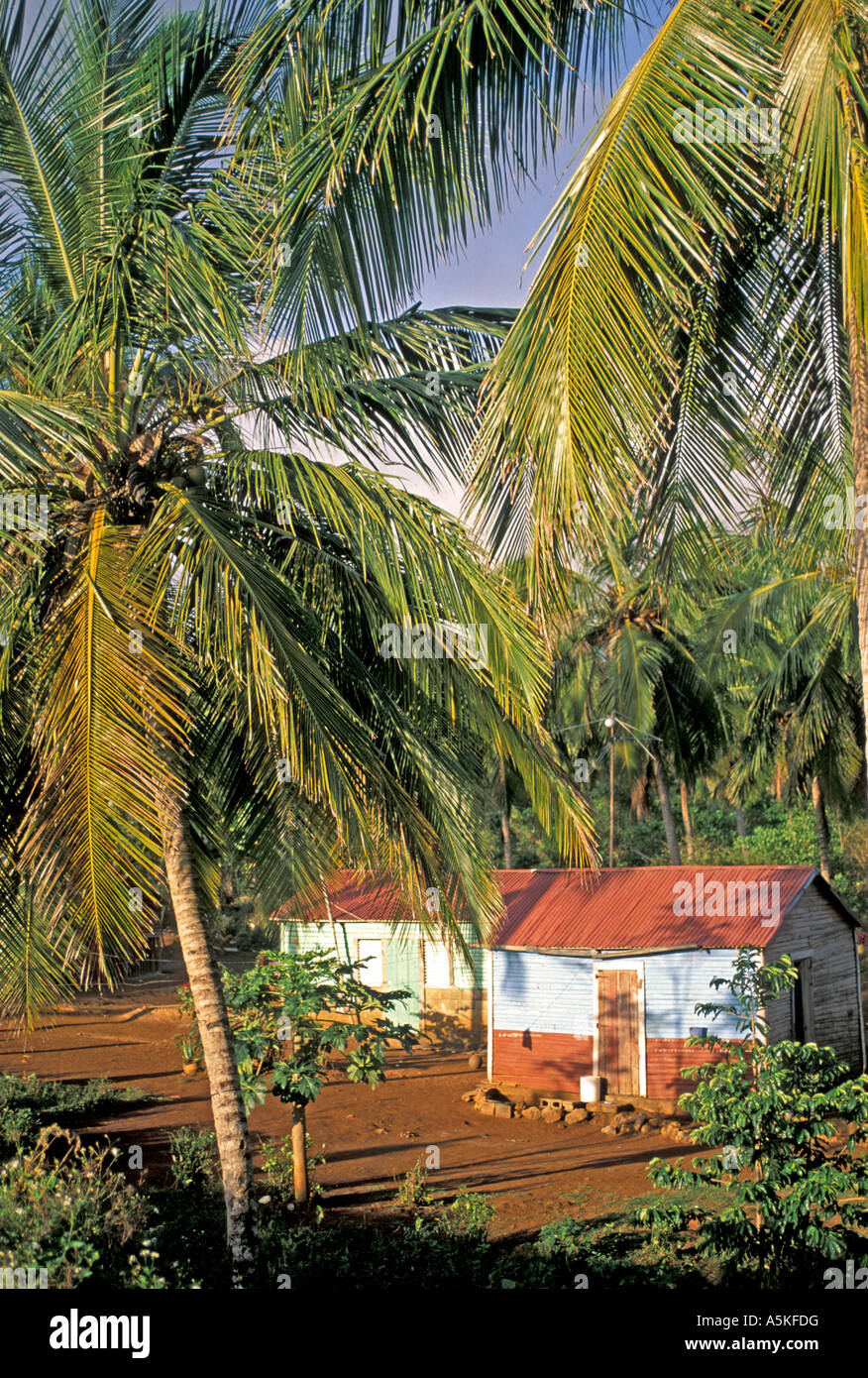 Dominikanische Republik Samana Halbinsel ländliche traditionelle Heimat rote Metalldach Freifläche Raum Kopie Raum Text Platz Typ Stockfoto