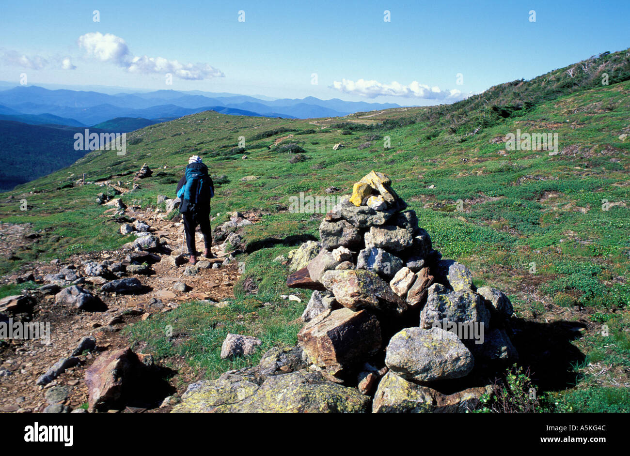 White Mountain National Forest südlichen Presidential Appalachian Trail Monroe Wohnungen Heimat der vom Aussterben bedrohten Zwerg-Fingerkraut Stockfoto