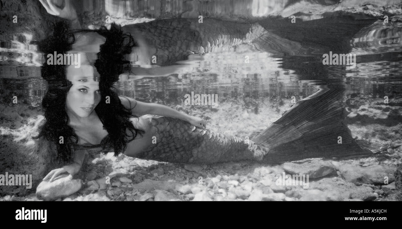 Meerjungfrau in Gezeitentümpel mit Reflexion West Seite Cozumel Mexiko Stockfoto