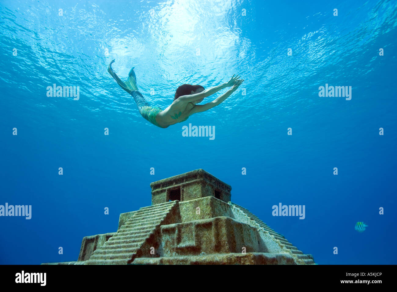 Meerjungfrau Freediving über Maya-Tempel Westseite Cozumel Mexiko Stockfoto