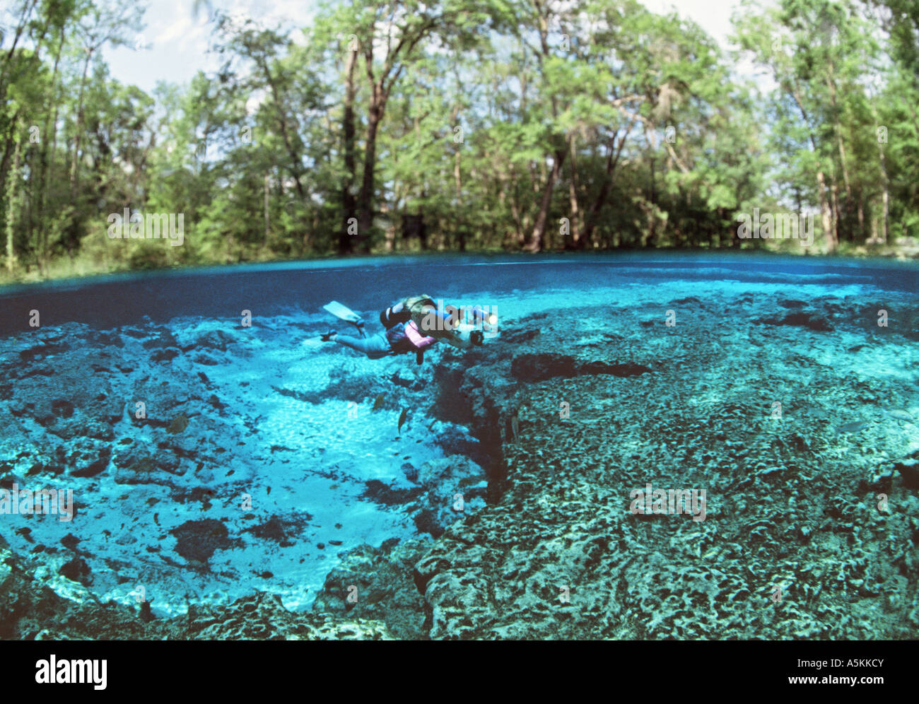 FL Ginnie Springs Frau unter Wasser mit Video-Kamera im Frühjahr Ginnie Becken Stockfoto