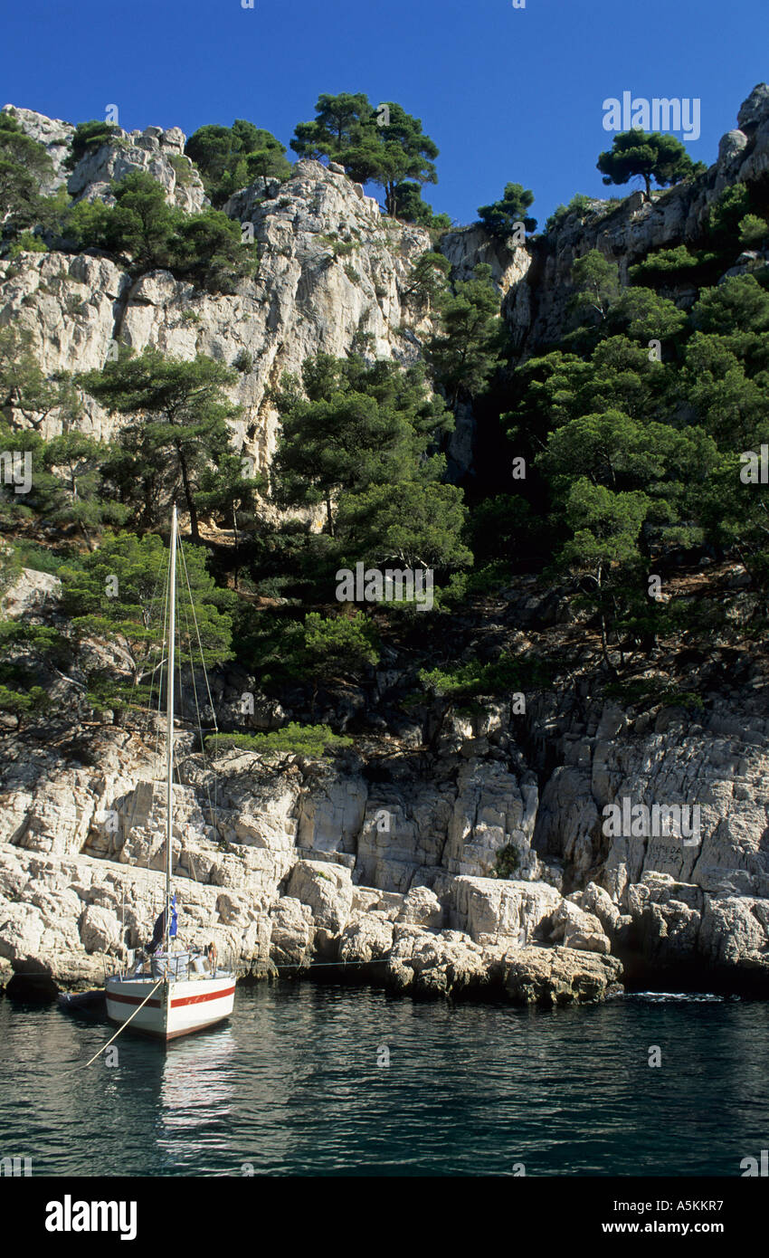 Felsküste bei Calanque Vermietungsbüros-Vau, Provence, Frankreich Stockfoto