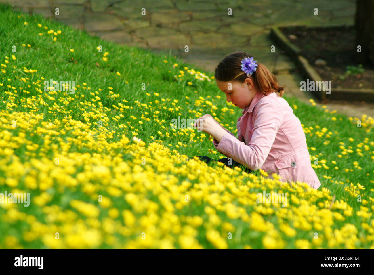 junges Mädchen in Butterblumen auf einem Hügel sitzend Stockfoto